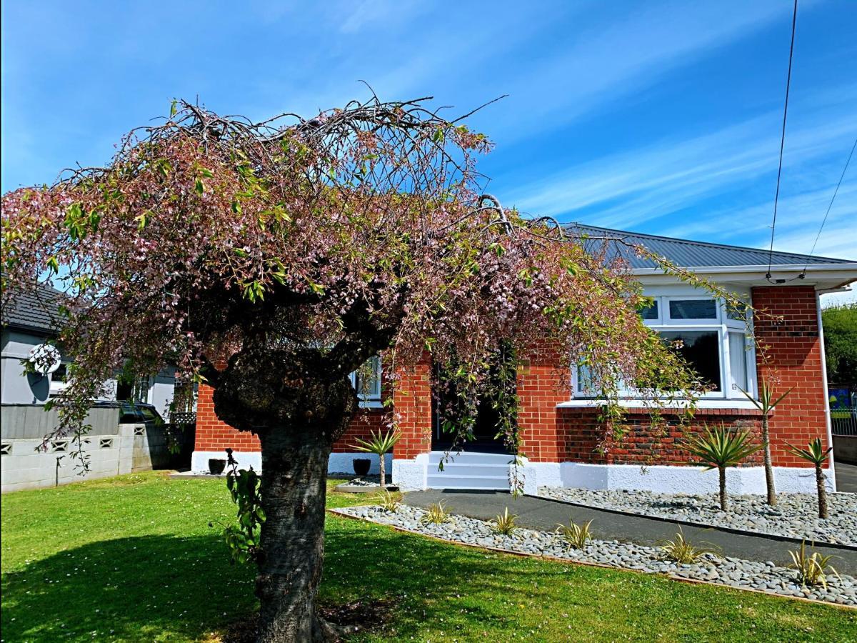 Andersons Bay Holiday House Villa Dunedin Buitenkant foto