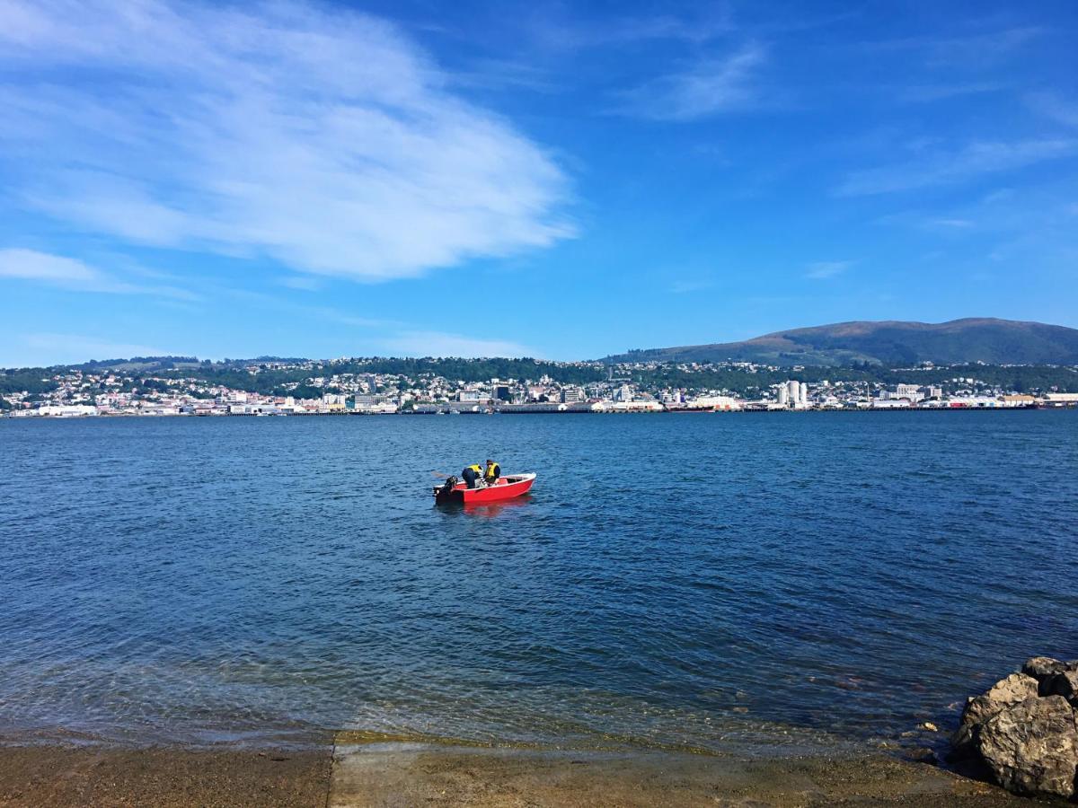 Andersons Bay Holiday House Villa Dunedin Buitenkant foto